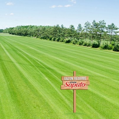 318034_10150982169535979_116861190978_12314324_974523712_n_medium